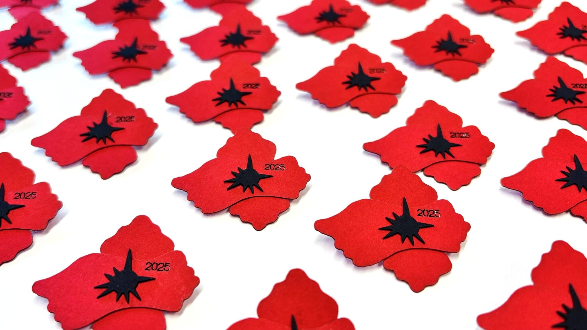 Den válečných veteránů v Náchodě