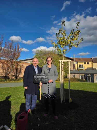 Sakura přátelství – dar Náchoda Hradci Králové k 800. výročí