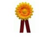 �esk� den proti rakovin� � 16. Kv�tinov� den 16. 5. 2012