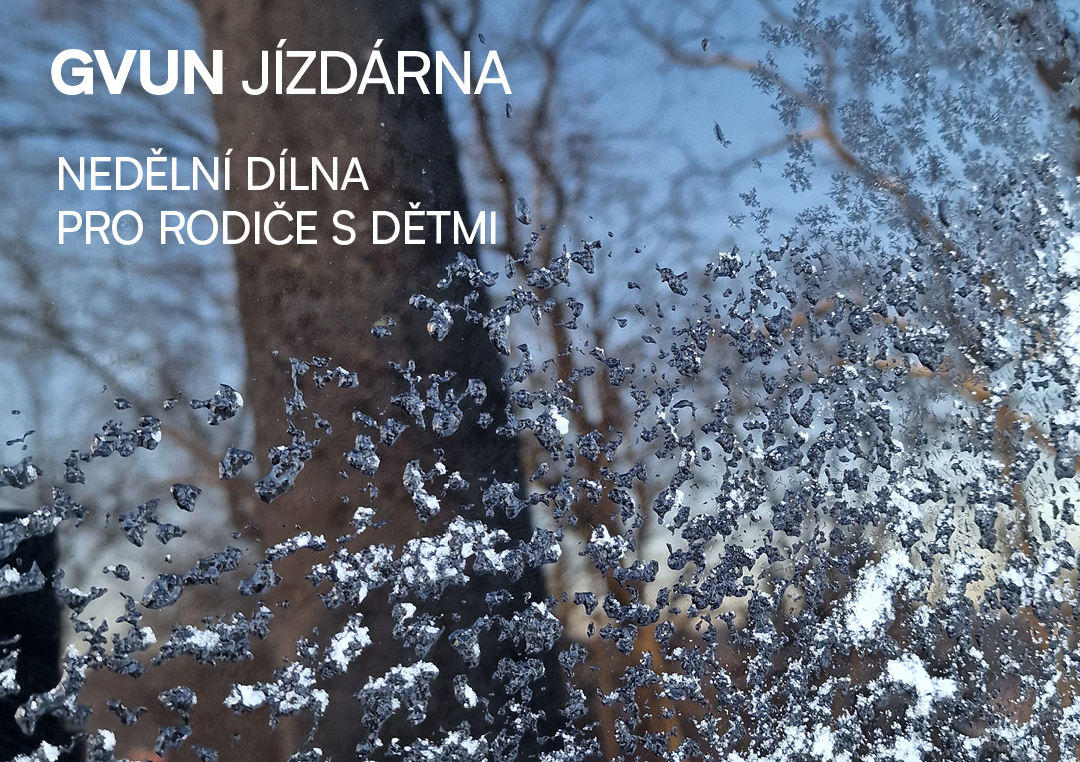 PlakátMrazivá krajka - nedělní dílna pro rodiny s dětmi