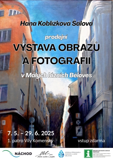 Hana Koblkov lov: prodejn vstava obraz a fotografi